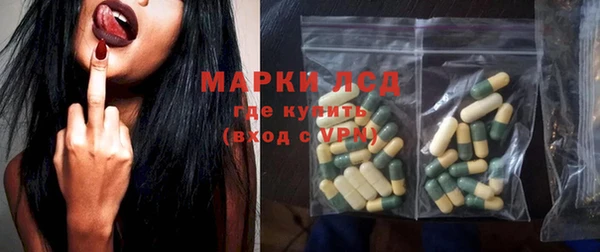 spice Аркадак