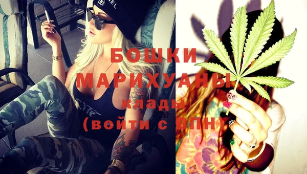 spice Аркадак