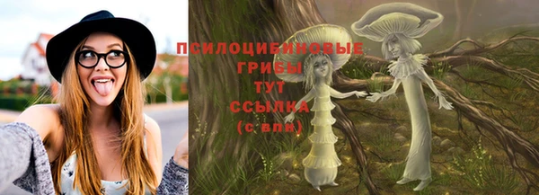 spice Аркадак